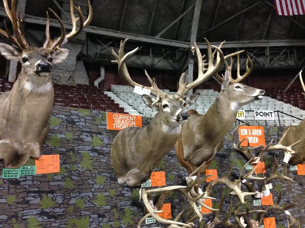 Big buck classic Arkansas Hunting